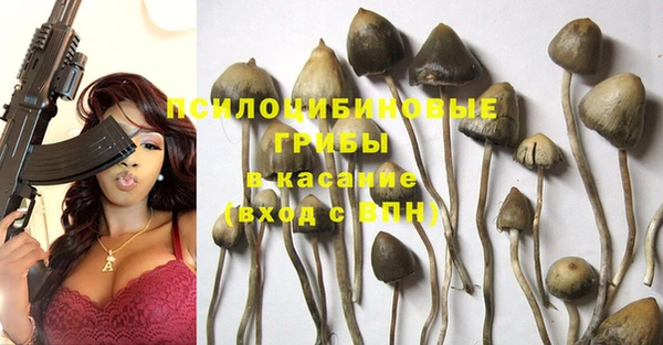 дживик Фурманов