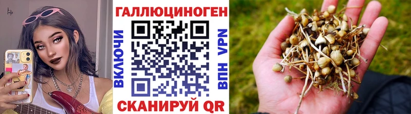 как найти закладки  кракен ONION  Псилоцибиновые грибы GOLDEN TEACHER  Алапаевск 